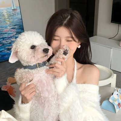 战地女护士